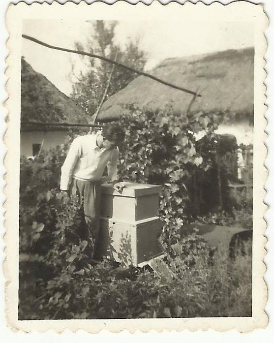 včelár Štefan Fekete so svojím prvým včelím úľom v roku 1944, starý otec Petra Pišáka (dobová fotografia) včelár Štefan Fekete so svojím prvým včelím úľom v roku 1944, starý otec Petra Pišáka (dobová fotografia)