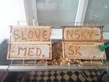 Pastovaný - Repkový včelí med 950g