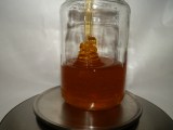 Slnečnicový včelí med 500g - sklenený pohár
