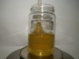 Agátový včelí med 500g - sklenený pohár