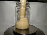 Pastovaný - Repkový včelí med 500g - sklenený pohár